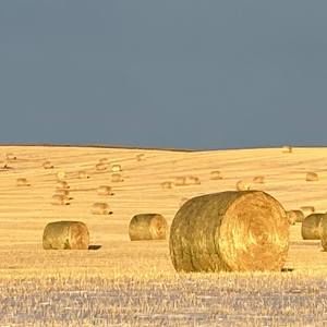 Meet your Posher, Terry